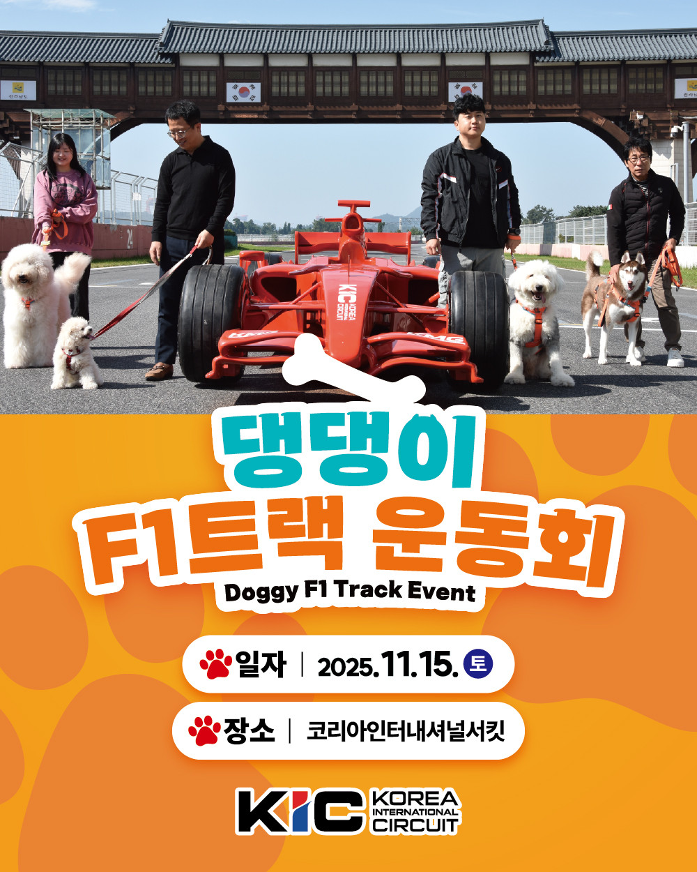 전남 영암 F1 경주장서 반려견과 달리는 이색 운동회 - 뉴스 썸네일 이미지