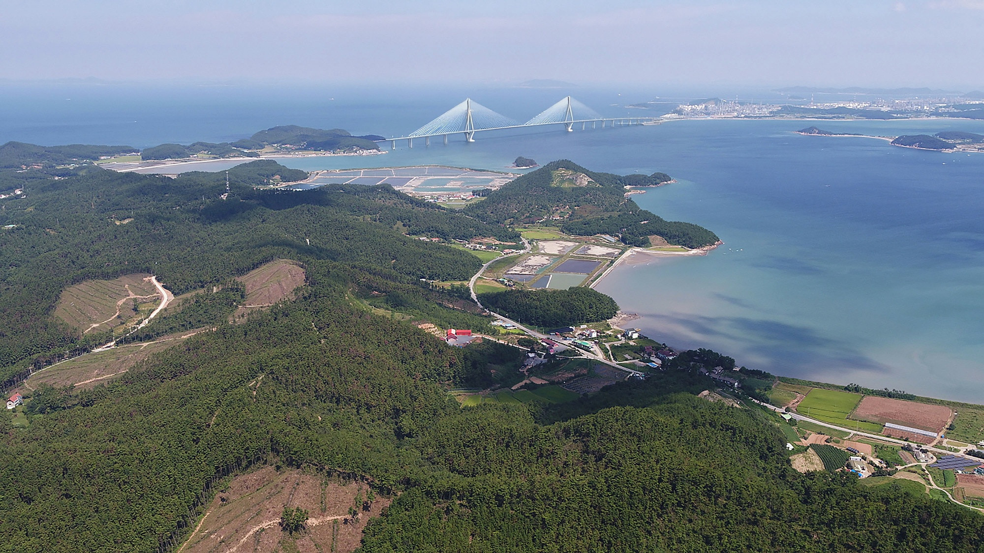 '21km 걸으며 충남 가로림만 해상교량 건설 염원'...30일 도보행사 - 뉴스 썸네일 이미지