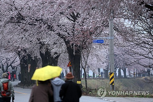 전국 강풍 동반 많은 비…서해안 '기상해일'