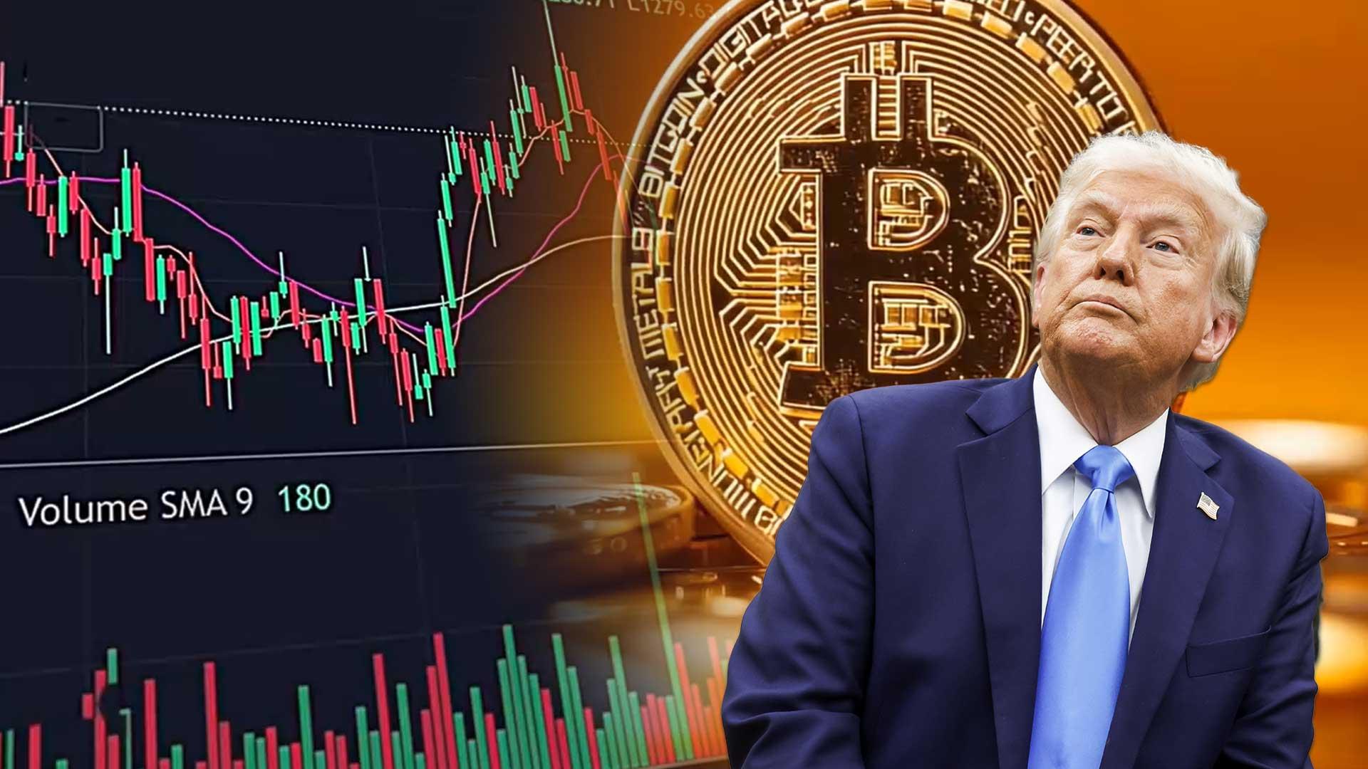 비트 코인 프로그램 (90) 사진