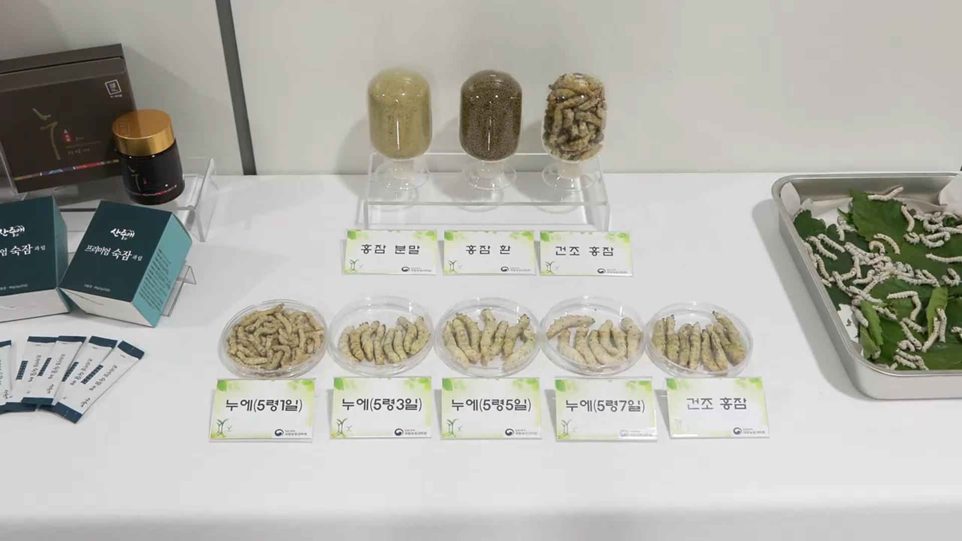 단백질 함량 높은 '홍잠'..."체중 감소 효과도" - 뉴스 썸네일 이미지