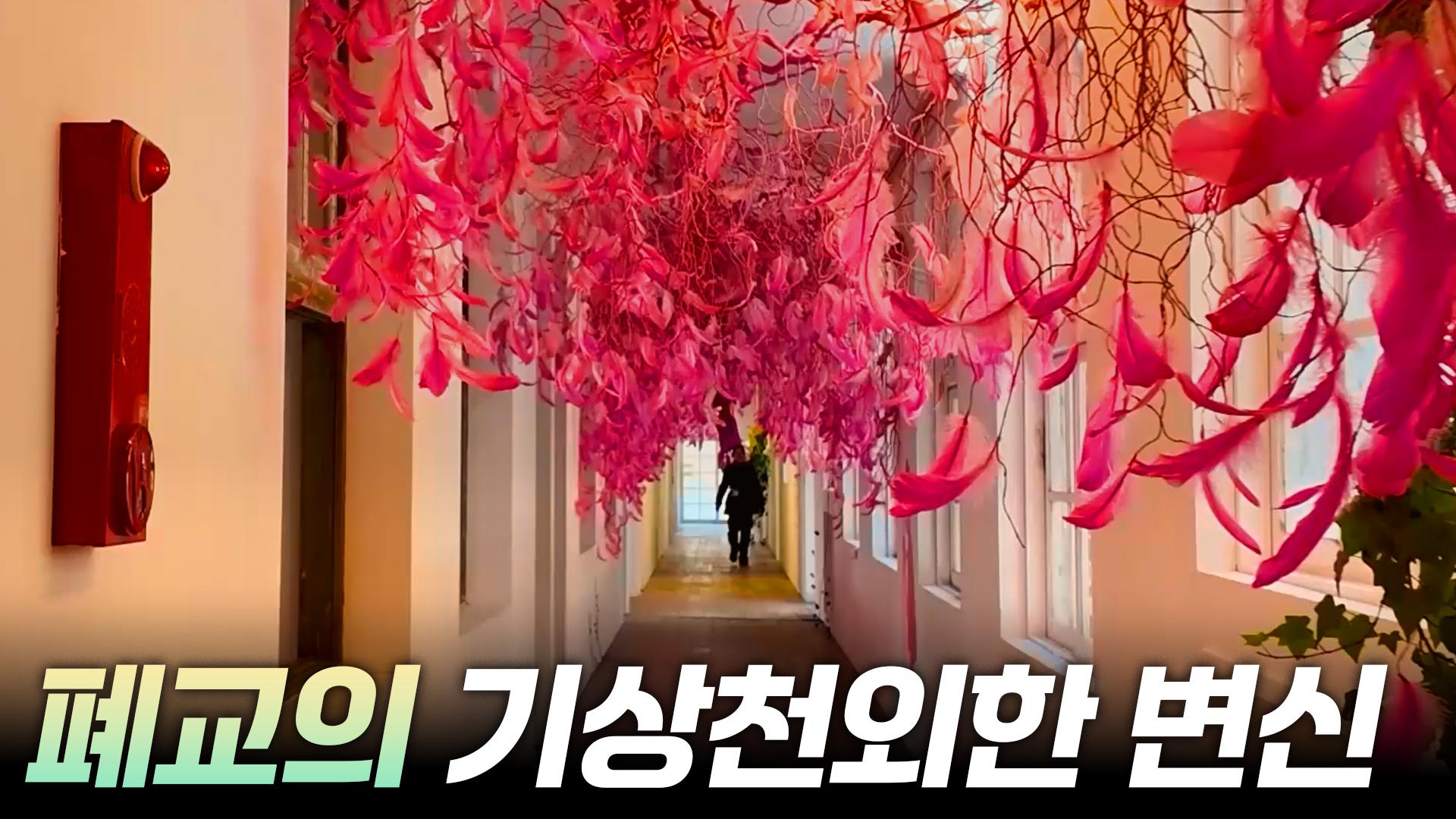 시골 폐교의 재발견