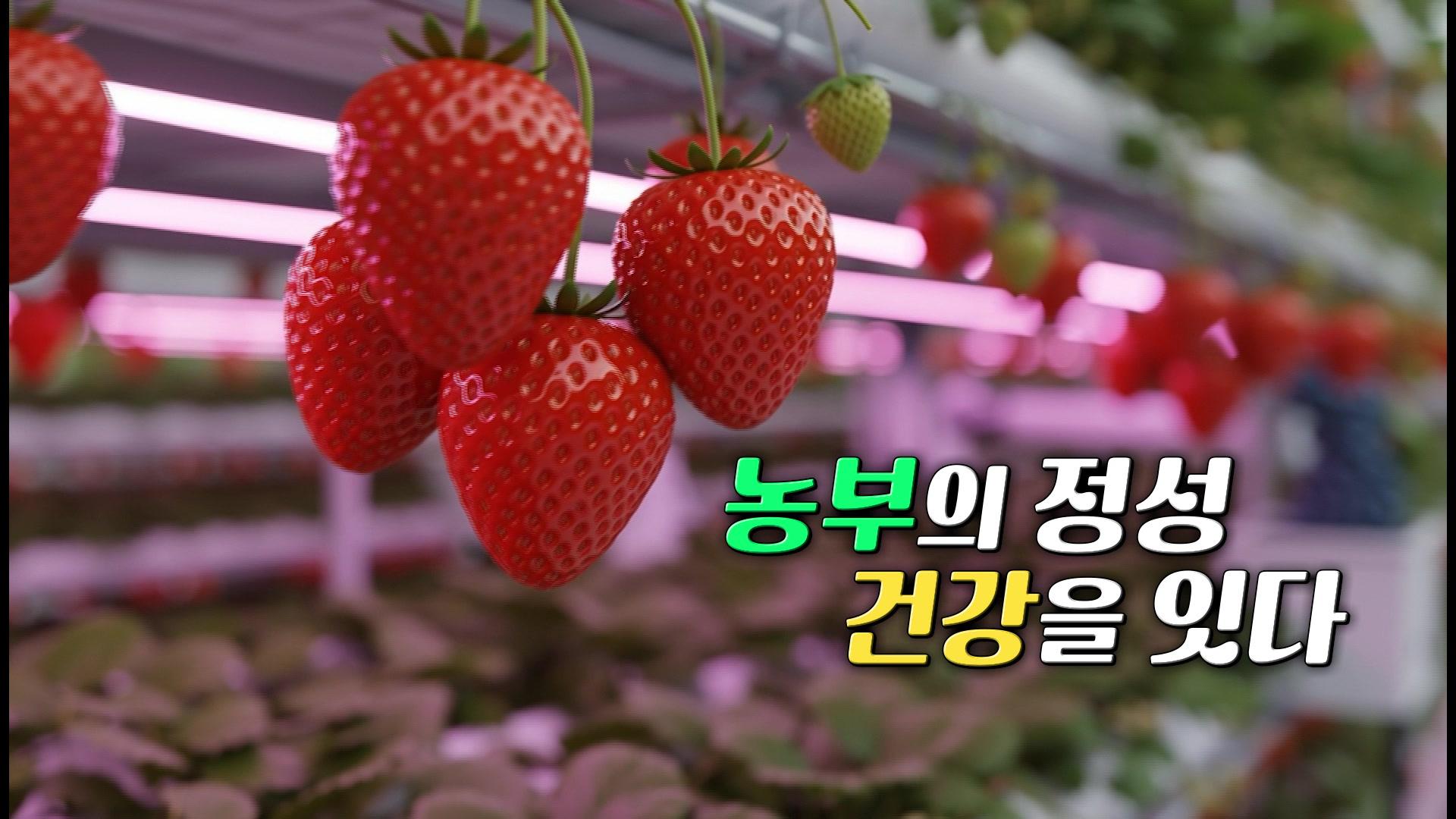 농부의 정성 건강을 잇