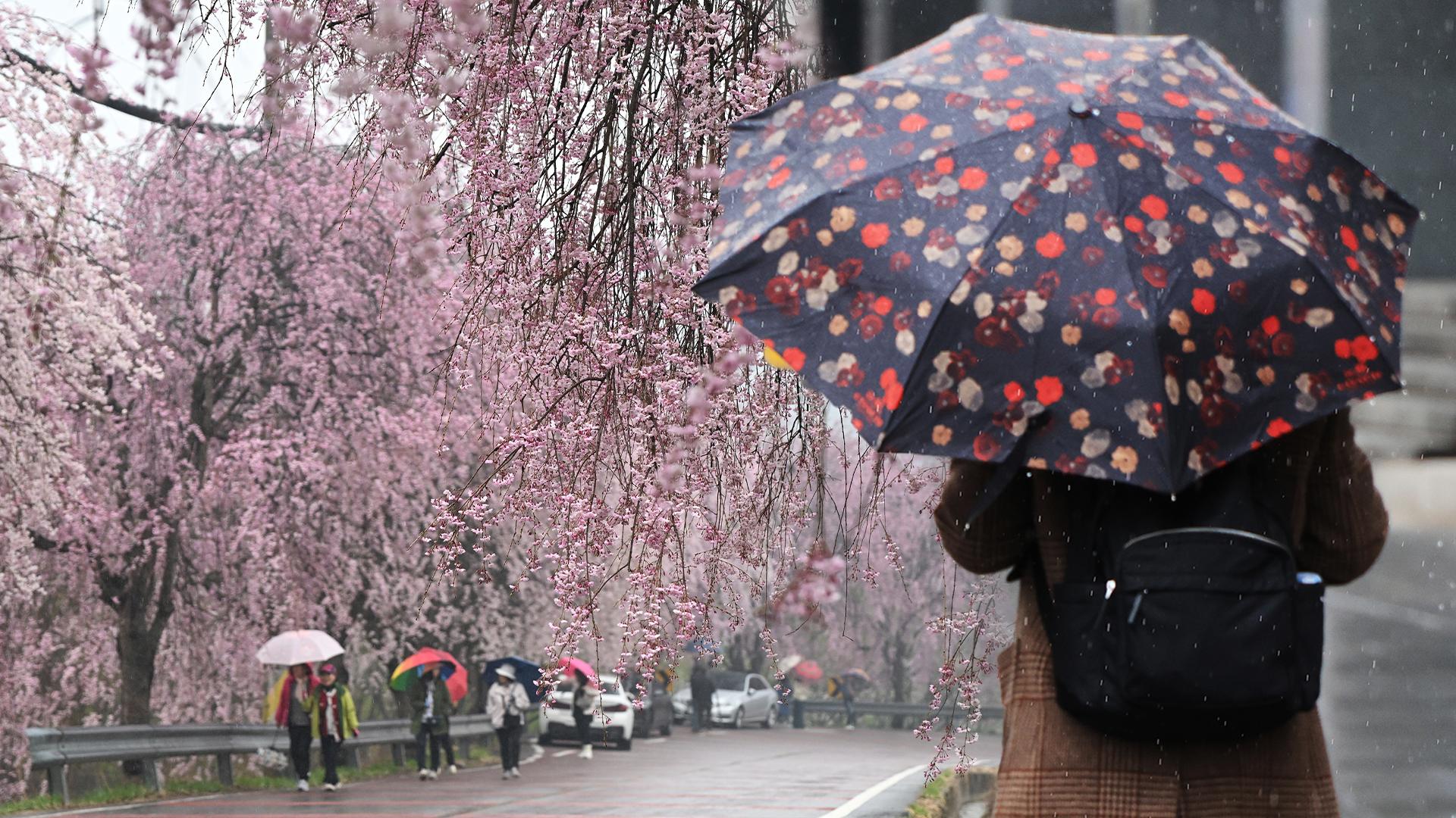 4월에 때아닌 호우…오늘 오전까지 비바람