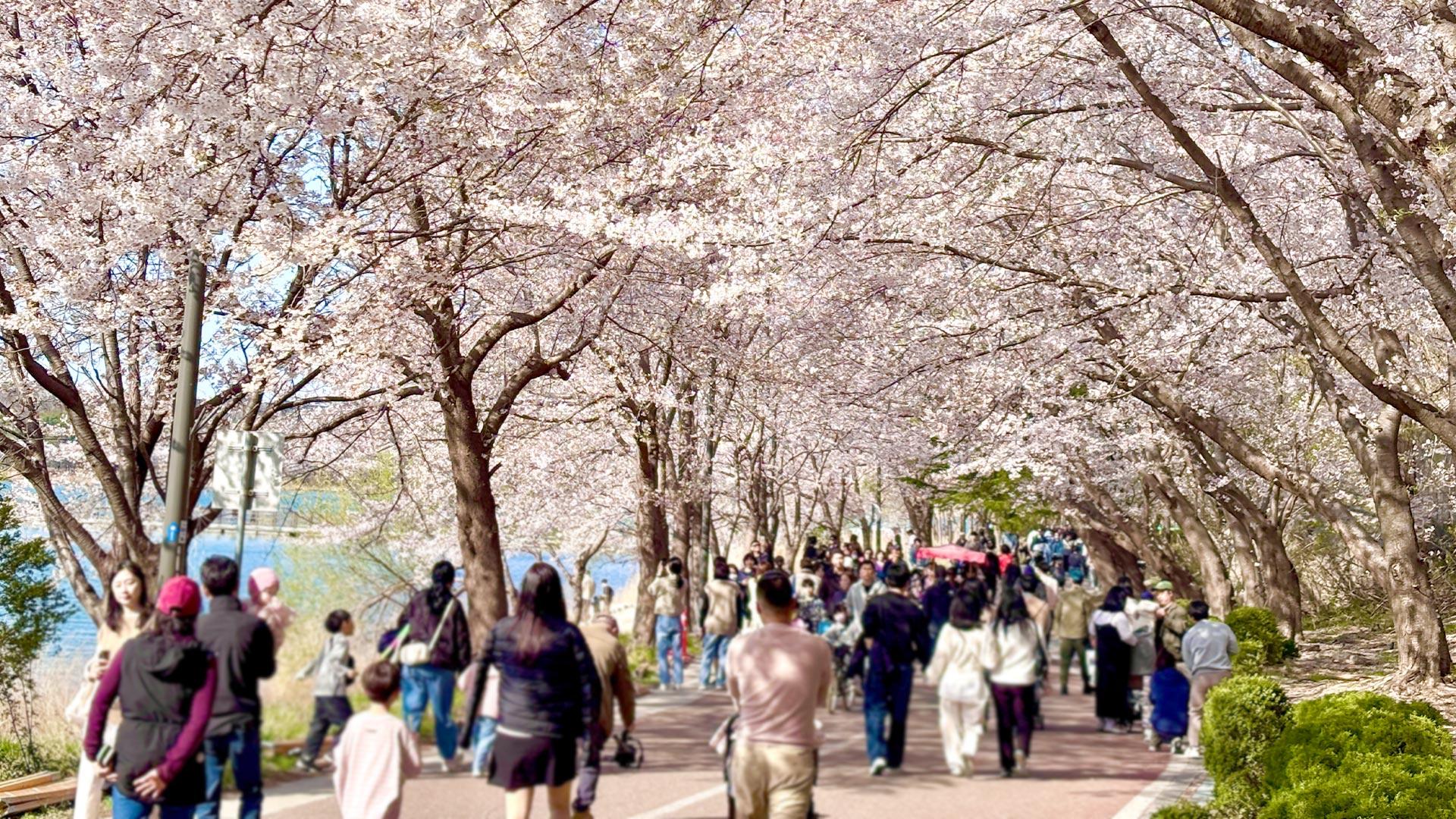 오늘 서울 26도 올봄 최고…한 달 앞선 더위